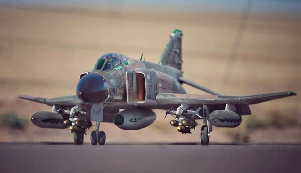 Freewing F4C/D 8s Custom Built PNP